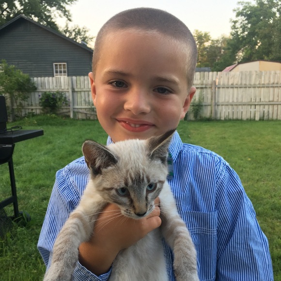 Meet your Posher, Trixxie - Picture 2 of 4